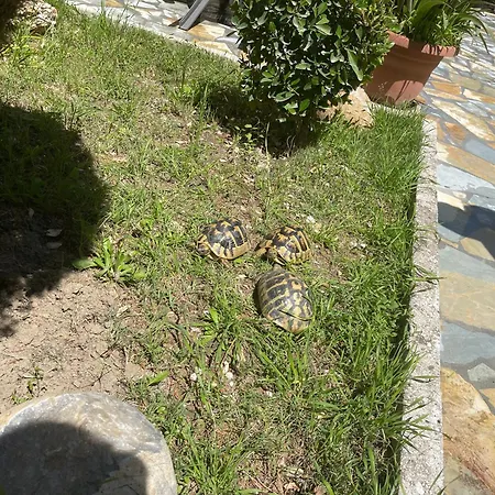 Artur's Apartament Gjirokastra