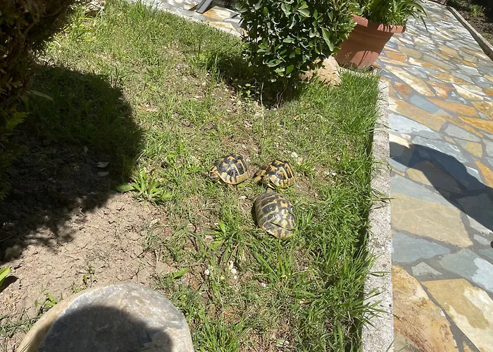 Artur's Appartement Gjirokastër